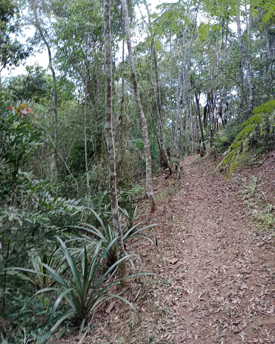Pousada vista 4